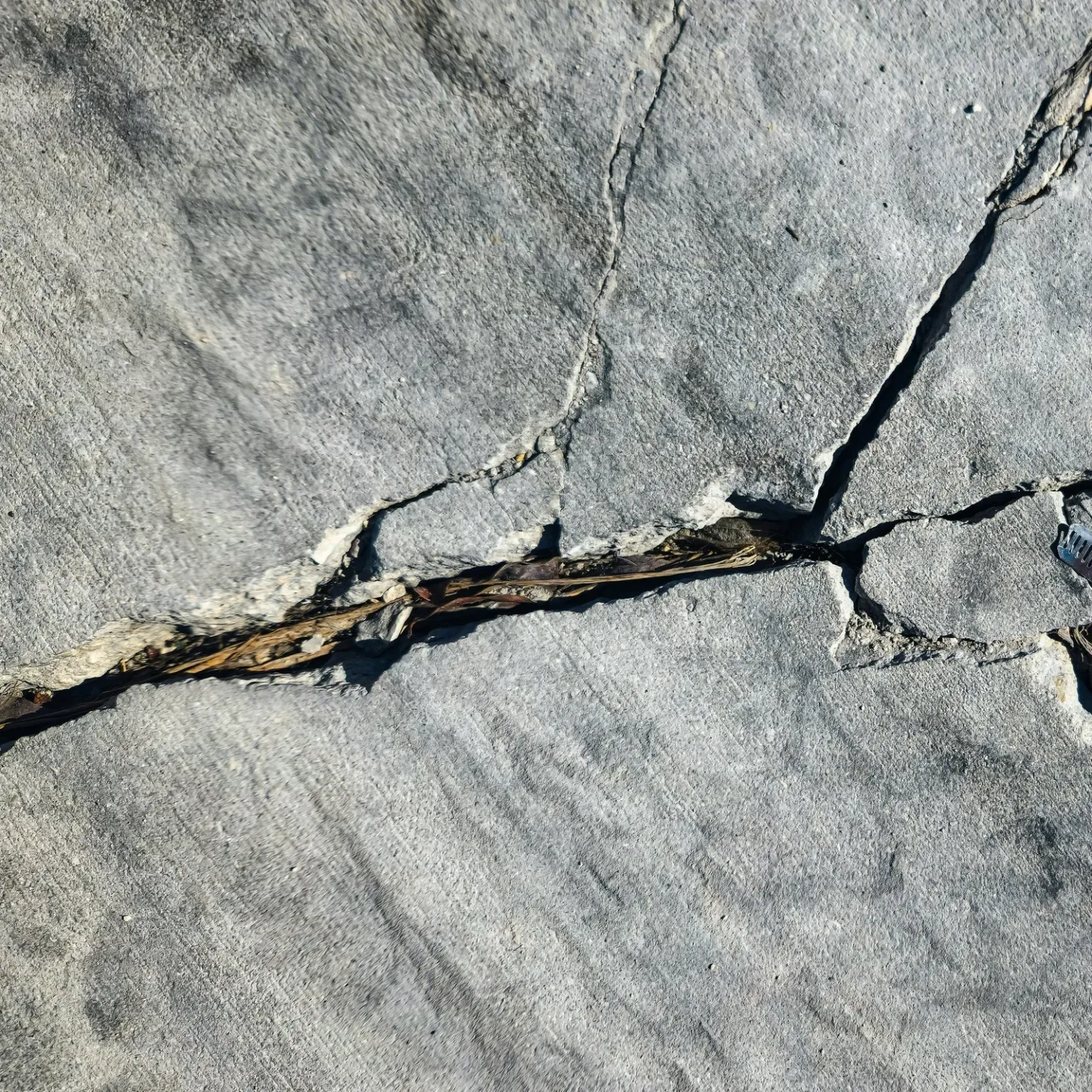 Close-up of cracked concrete pavement with dried grass growing in the crack.