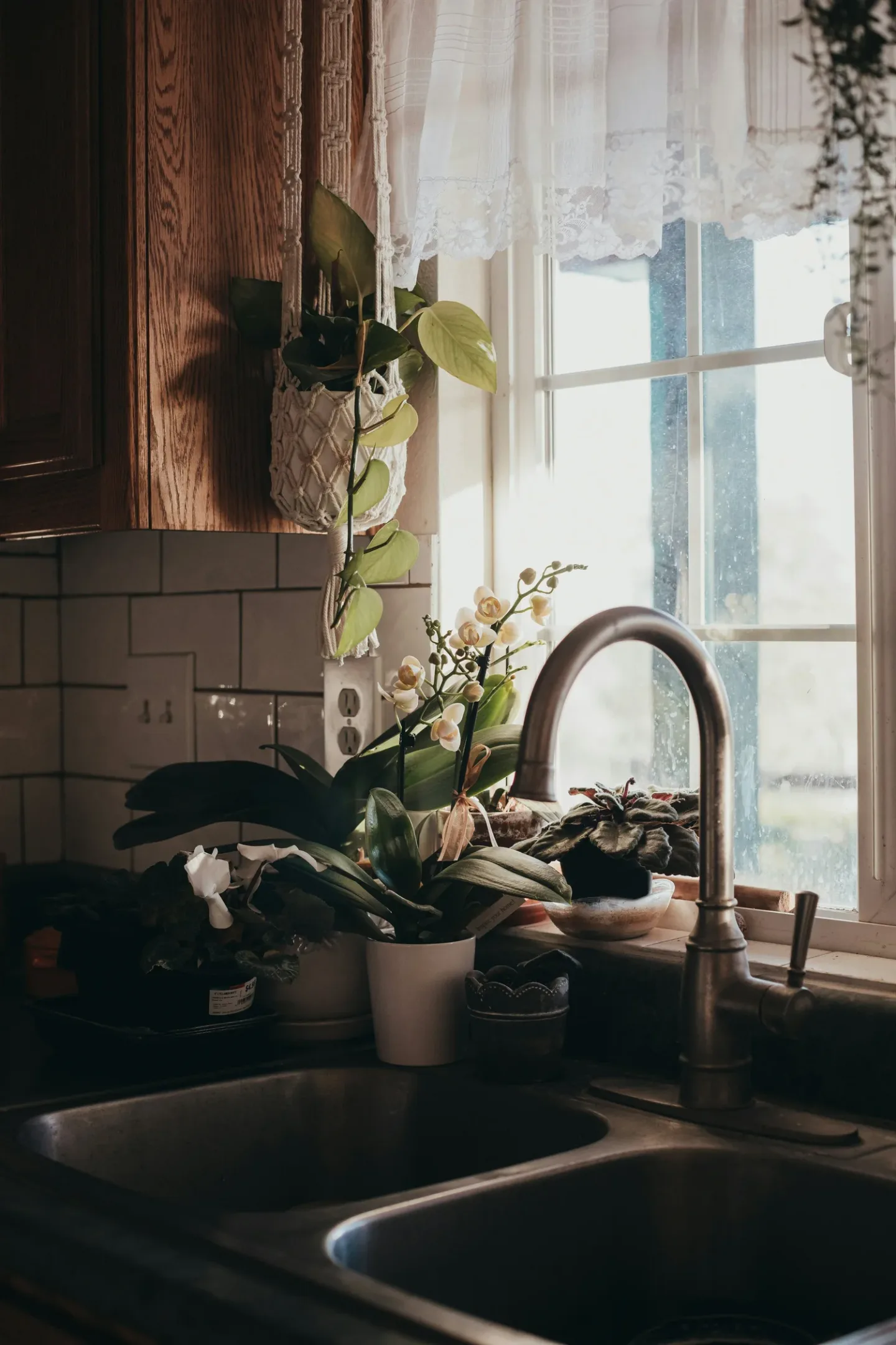 Drain and sewer services image